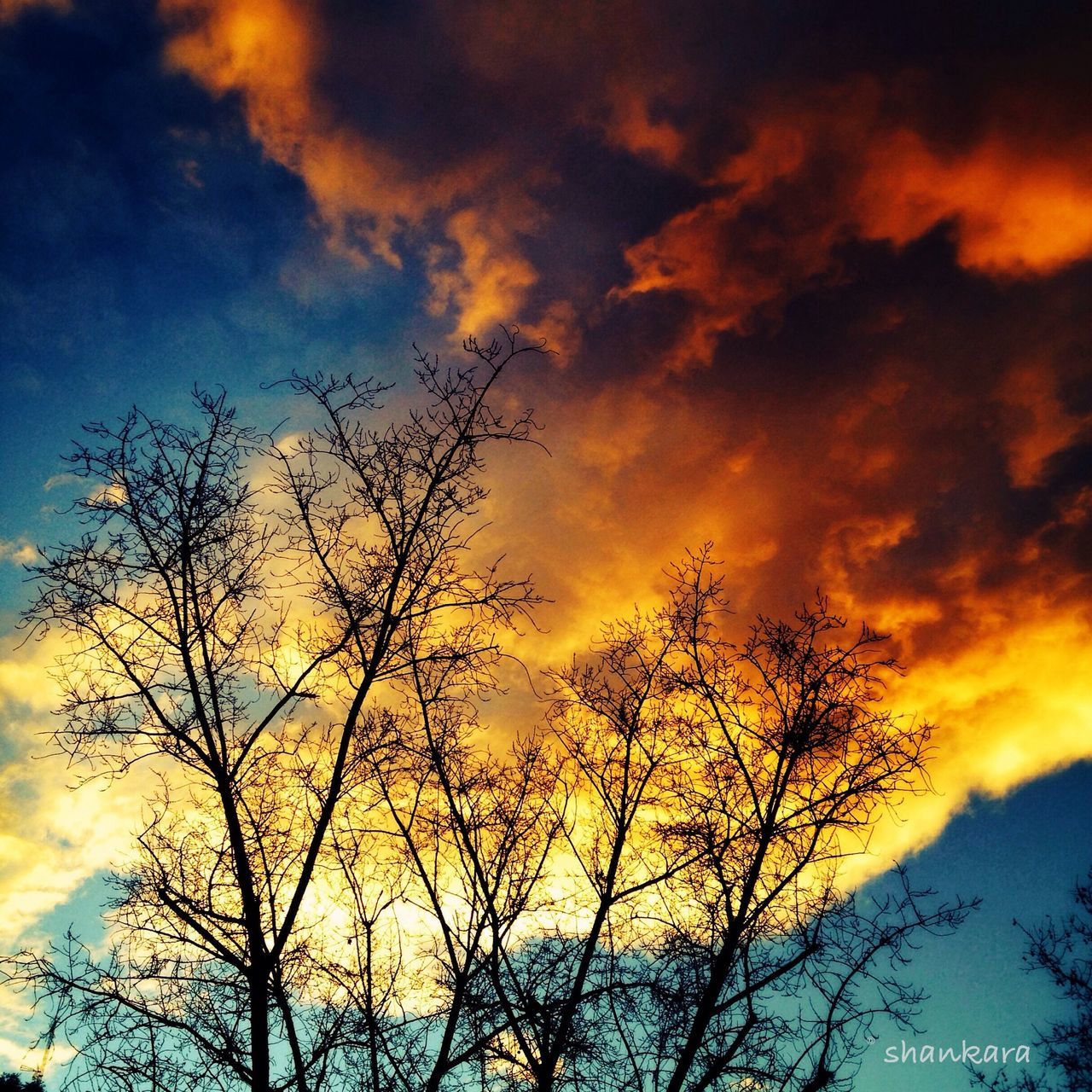 sunset, sky, low angle view, silhouette, bare tree, cloud - sky, tree, beauty in nature, tranquility, branch, orange color, scenics, nature, tranquil scene, cloudy, dramatic sky, cloud, idyllic, outdoors, majestic