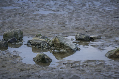 Rocks in sea