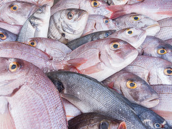 Full frame shot of fish for sale in market