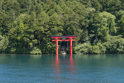 Rear view of man standing by lake