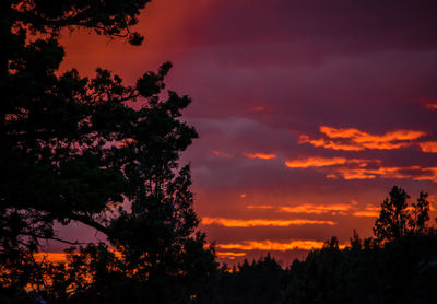 Silhouette of tree against cloudy sky