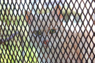 Full frame shot of chainlink fence