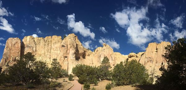 Panoramic view of trees against cloudy sky