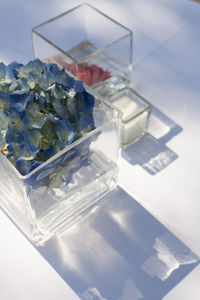 High angle view of wine in glass on table