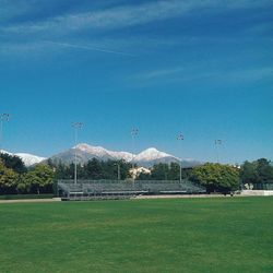 Trees on grassy field against cloudy sky