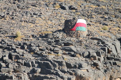 Low section of person on rock at beach