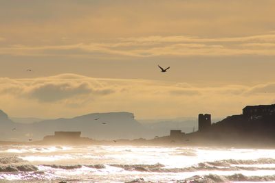 Silhouette birds flying over sea against sky