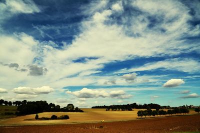Scenic view of agricultural field against sky