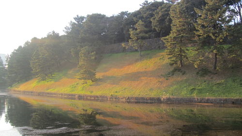 Scenic view of lake by trees against sky