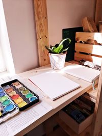 High angle view of potted plant on table at home