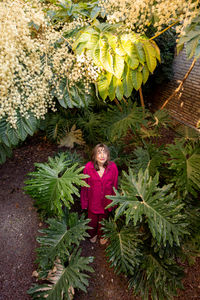 High angle view of green leaves