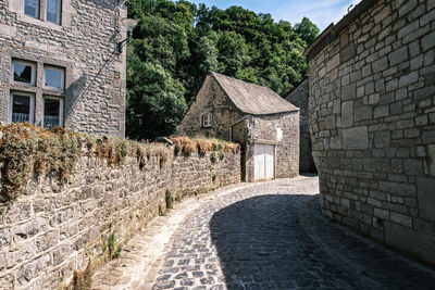 Footpath amidst houses against sky