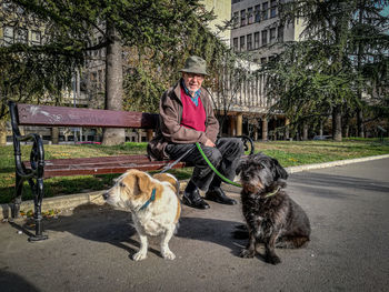 Rear view of man with dogs on street