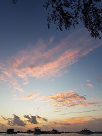 Low angle view of silhouette trees against sky during sunset