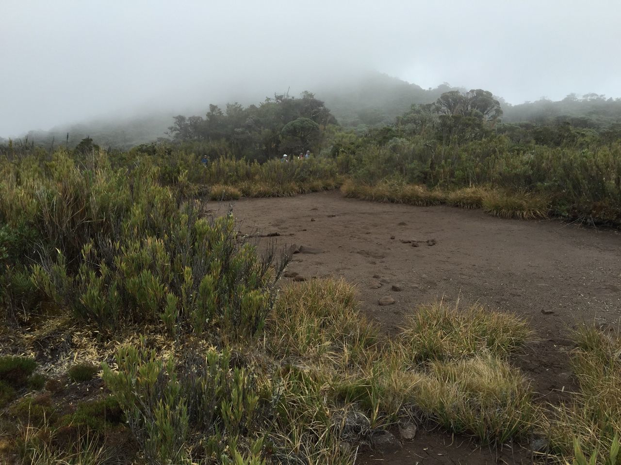 Páramo Cerros Cuericí