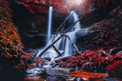 View of waterfall in forest during autumn