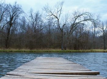 Scenic view of lake by trees against sky