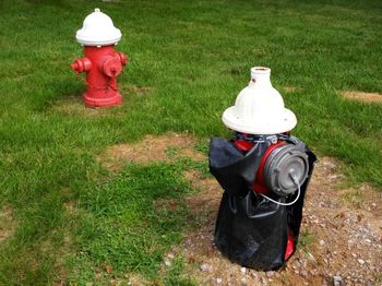 Man standing on grassy field