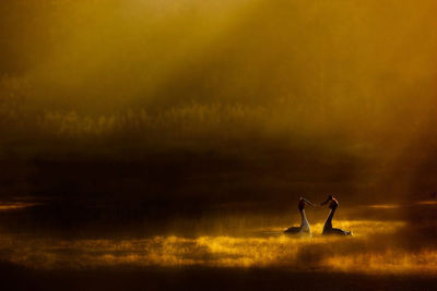 Rear view of man standing on field against sky during sunset