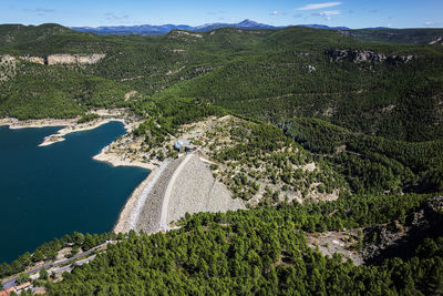 High angle view of trees on land