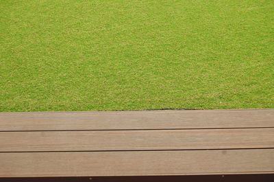 High angle view of plants on field