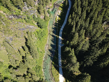 High angle view of road amidst trees