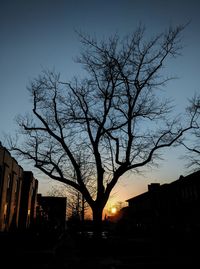 Low angle view of silhouette tree and buildings against sky at sunset