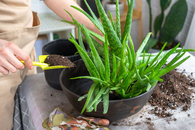 Midsection of person planting plant