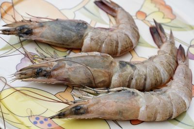 High angle view of dead fish on table