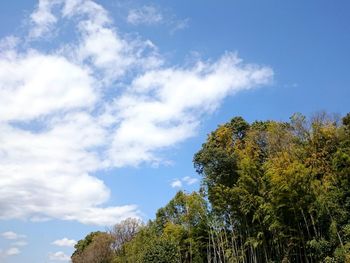 Low angle view of trees against cloudy sky