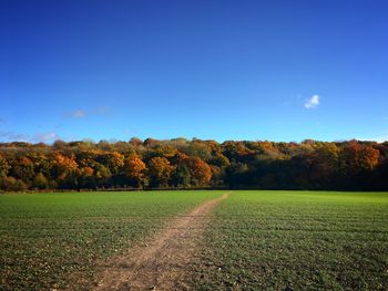 Scenic view of field against sky during autumn