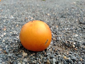 Close-up of orange on field