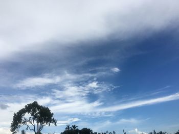 Low angle view of trees against cloudy sky