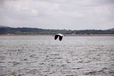 Man swimming in sea against sky