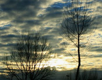 Silhouette of bare tree against dramatic sky