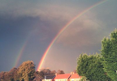 Rainbow over trees against cloudy sky