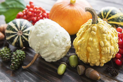 Fall composition with multi color pumpkins on rustic background