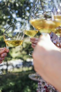 Cropped hand of woman holding wineglass