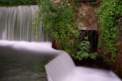 Scenic view of waterfall