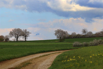 Scenic view of a field road in upper franconia