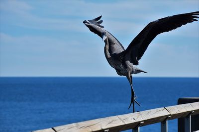 Close-up of bird perching by sea against sky