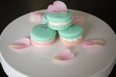 Close-up of cake in plate