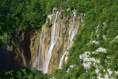 Scenic view of waterfall in forest