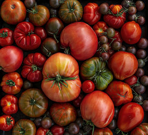 Multicolored tomatoes of different sizes and types, in appearance, a horizontal composition.poster