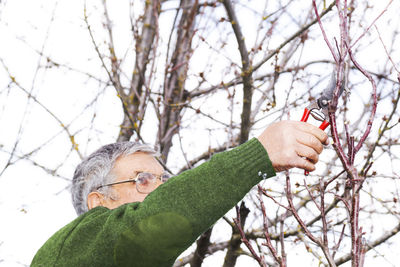 Senior man cutting bare tree branch