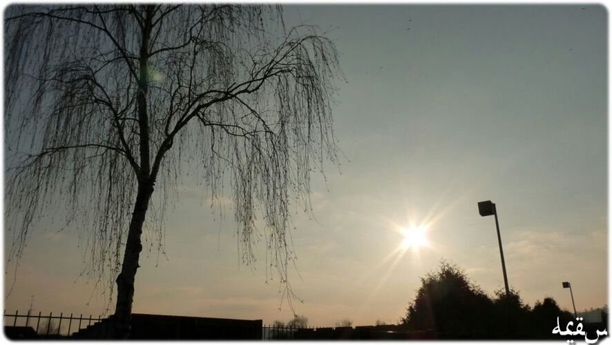 sun, tree, silhouette, sunbeam, sunlight, sky, sunset, lens flare, low angle view, beauty in nature, bare tree, tranquility, nature, scenics, transfer print, branch, tranquil scene, clear sky, bright, auto post production filter