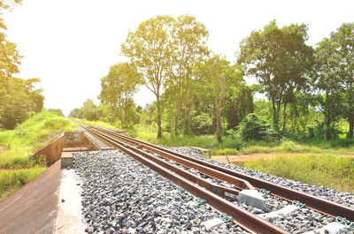 Railroad tracks amidst trees against sky