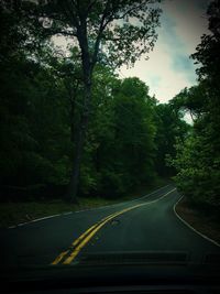 Road passing through forest