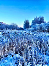 Snow covered field against clear blue sky