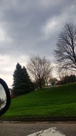 Trees on field against sky